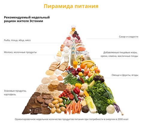 Ключевые правила выбора продуктов для рациона питания