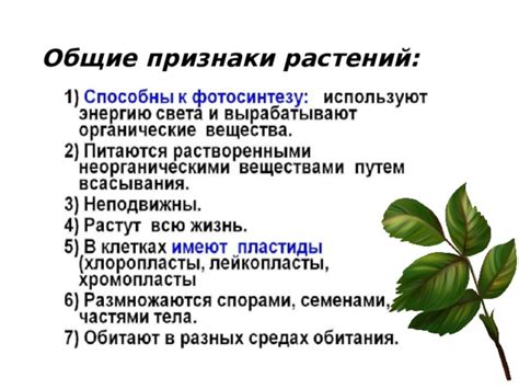 Ключевые признаки активности организма