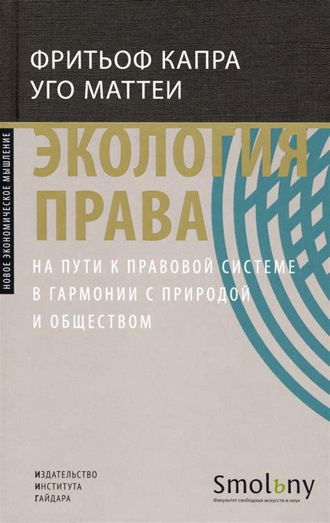 Ключевые принципы Федерико: на пути к личностной гармонии