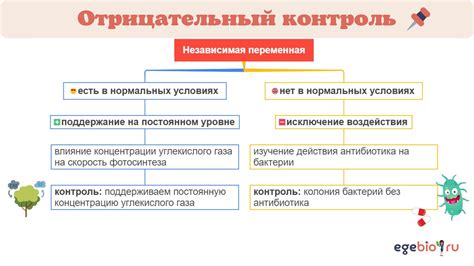 Ключевые принципы отрицательного развала на балке