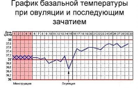 Когда наблюдается повышение базальной температуры после зачатия?