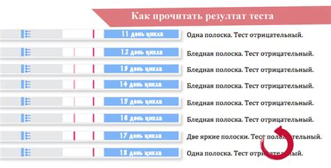 Когда проводить тест на овуляцию: определение наилучшего времени