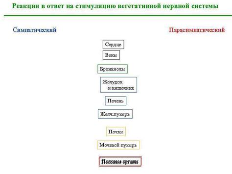 Кожные реакции на стимуляцию