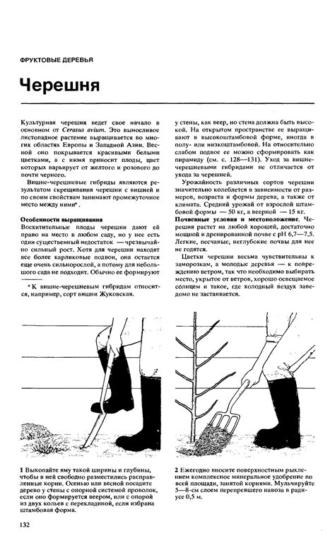 Количественный и качественный урожай в зависимости от климата