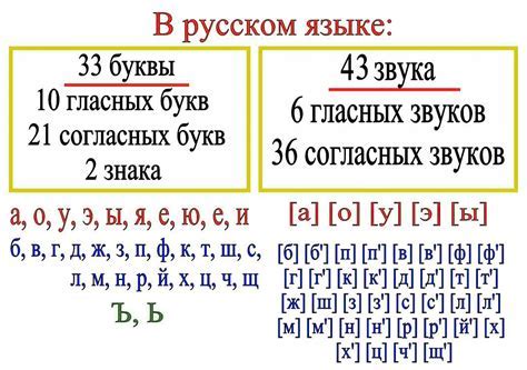 Количество звуков в слове "ручьи"