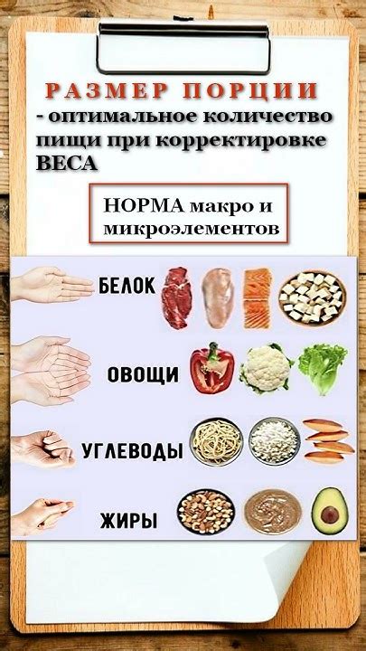 Количество пищи