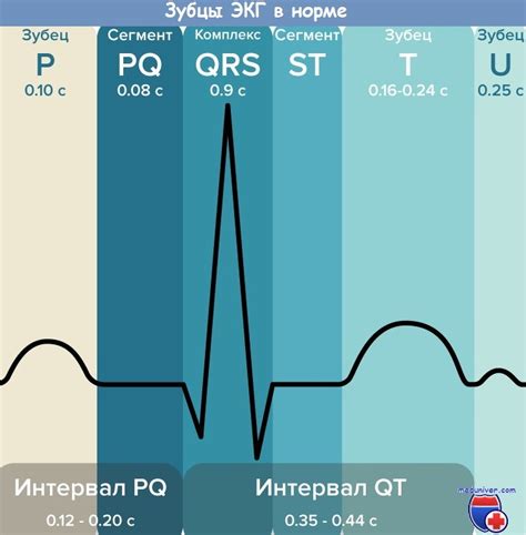 Количество проведений ЭКГ и возраст