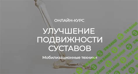 Коллаген и улучшение пластичности и подвижности суставов