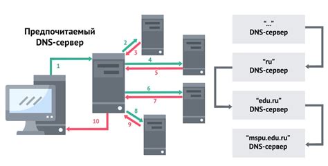 Команда для проверки DNS-сервера