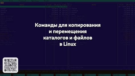 Команды для копирования файлов в Vim