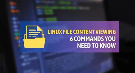 Команды и инструменты для узнавания содержимого файла в Linux с легкостью