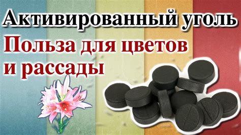 Комбинированное применение активированного угля и соды для лучших результатов