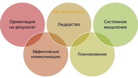 Компетенции и обязанности сотрудников