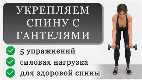 Комплексы упражнений с гантелями для формирования красивого силуэта