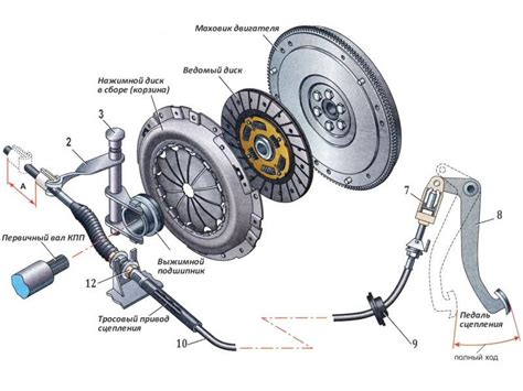 Компоненты и принцип работы сцепления Фиат Альбеа
