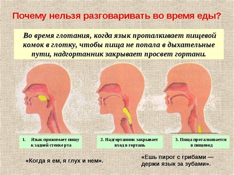 Ком в горле и отрыжка: причины и методы борьбы