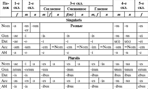 Конкретные показатели числа глагола в латинском языке