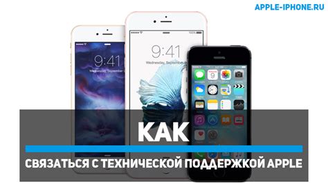 Консультация с Apple-поддержкой