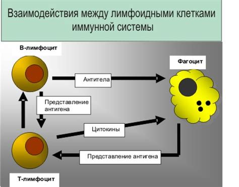 Контакт с болезнетворными микроорганизмами