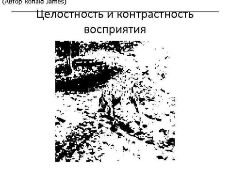 Контрастность восприятия