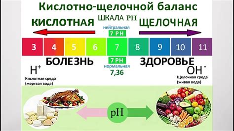 Контролируйте уровень pH и поддерживайте баланс химических компонентов