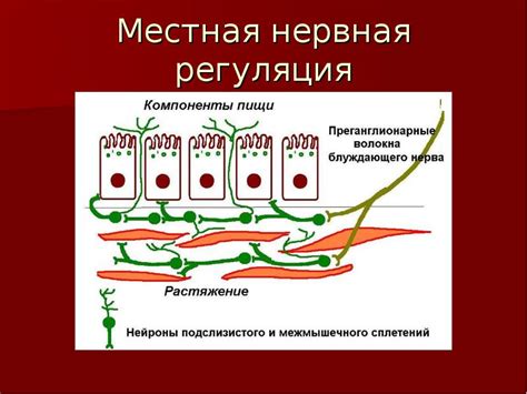 Контроль за качеством усвоения белка