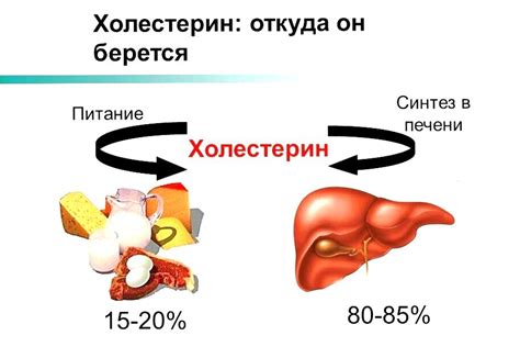 Контроль за уровнем холестерина и его связь с альфа-липопротеинами