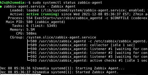 Конфигурация Zabbix Agent на Debian 11