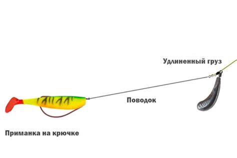 Концовка: дополнительные советы и рекомендации для рыбалки на кольцо