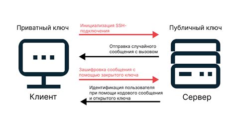 Копирование SSH-ключей на сервер