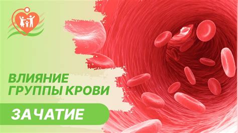 Копченое и возможные риски для здоровья ребенка