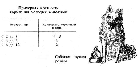 Кормление и регулярный график питания