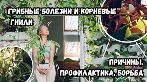 Корневые болезни: диагностика и лечение