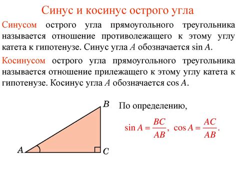 Косинус угла: определение и свойства