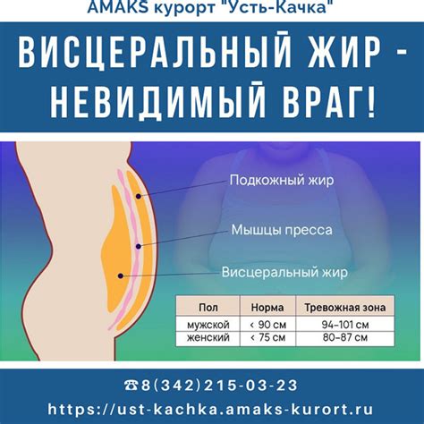 Косметические процедуры для устранения жира на животе