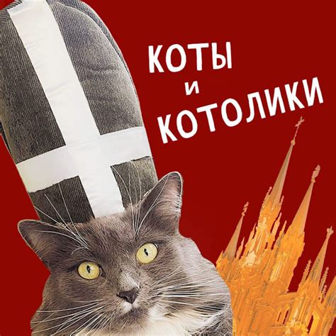 Коты и покровы