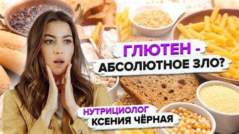 Кот и его территория: как это влияет на его поведение