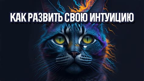 Кошачье обаяние: как развить свою интуицию