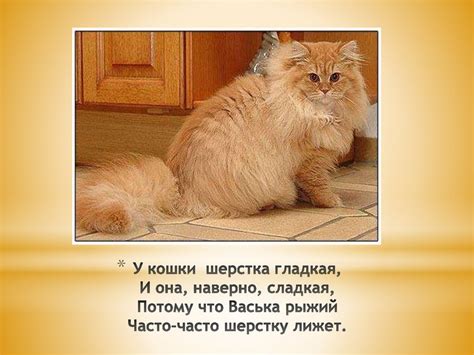 Кошки и гладкая поверхность