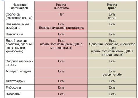 Кошки и грудь: сходства и различия