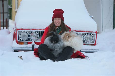 Кошки и их любовь к теплу