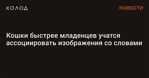 Кошки не способны ассоциировать удары с своими "проделками"