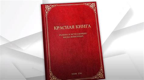 Красная книга и ее значение