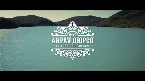 Краткая история успеха компании Абрау-Дюрсо