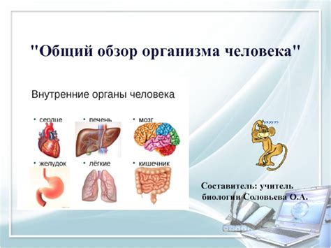 Краткий обзор организма и его потребностей