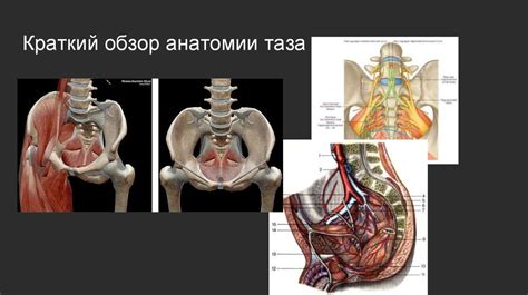 Краткий обзор племяшнего значения расширения таза