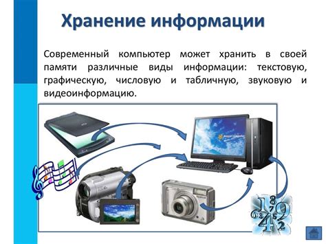 Краткосрочная память: механизмы и хранение информации