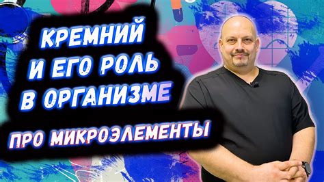 Кремний: зачем организмам этот микроэлемент?