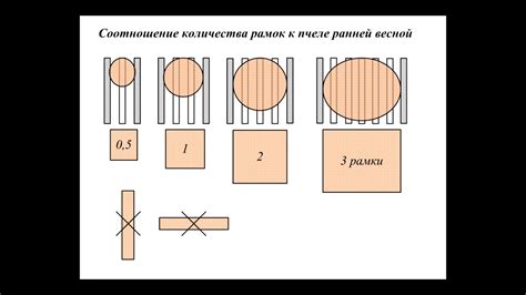 Крепление основы к пчеле