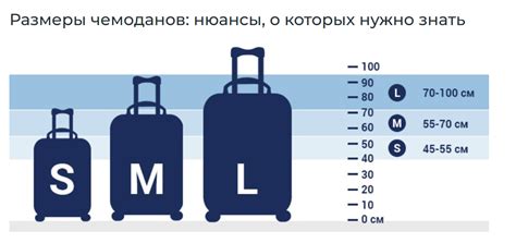 Критерии выбора багажа для поездки